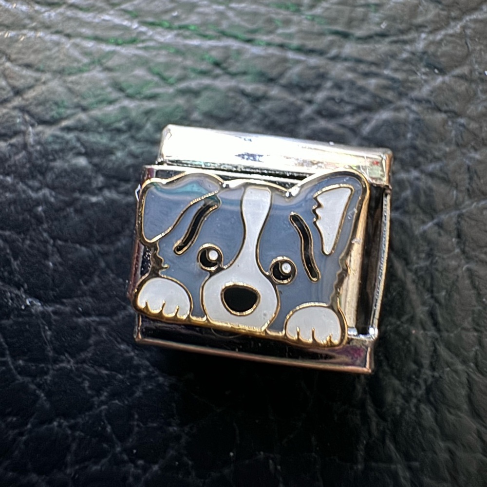 Border Collie Dog Italian Charm